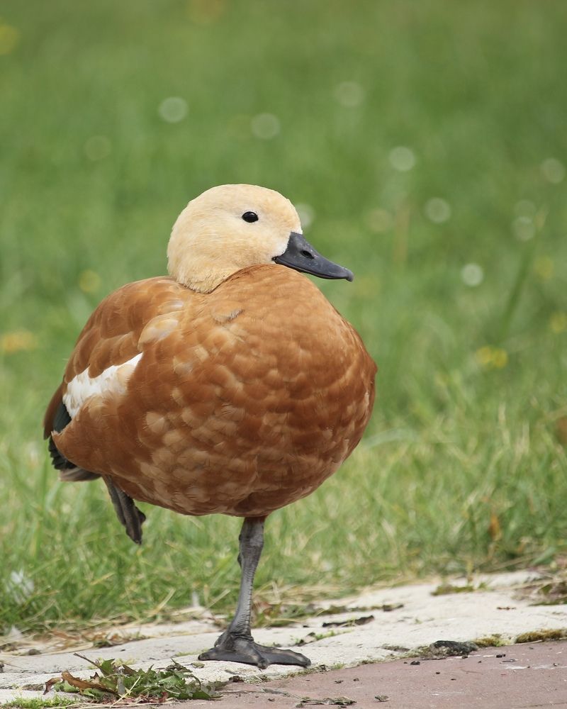 Photograph by Затямин Александр