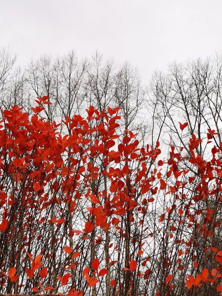 Фотография автора Андрей Богданов