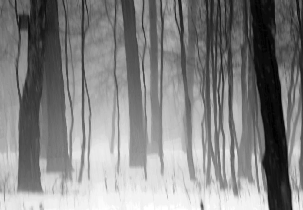 Photograph by Татьяна Слесарева