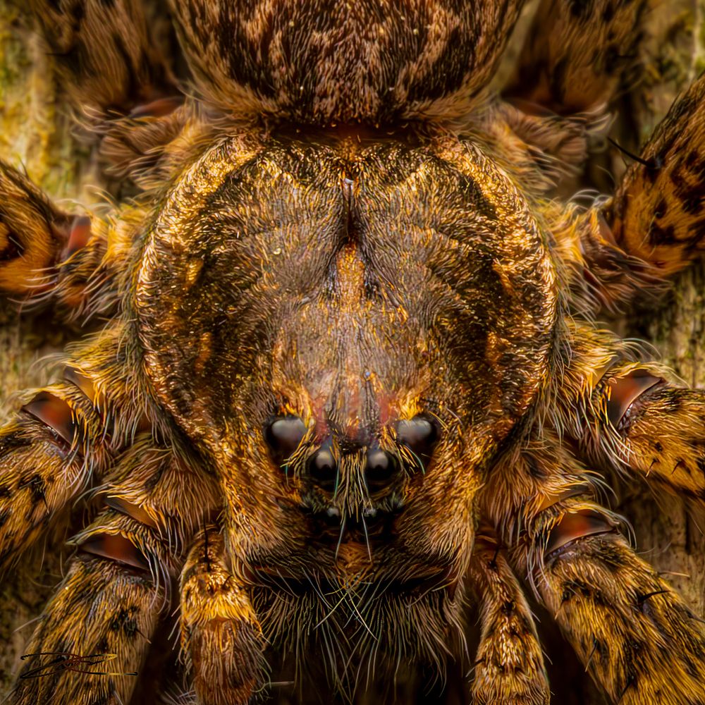 Photograph by Derek Moorse