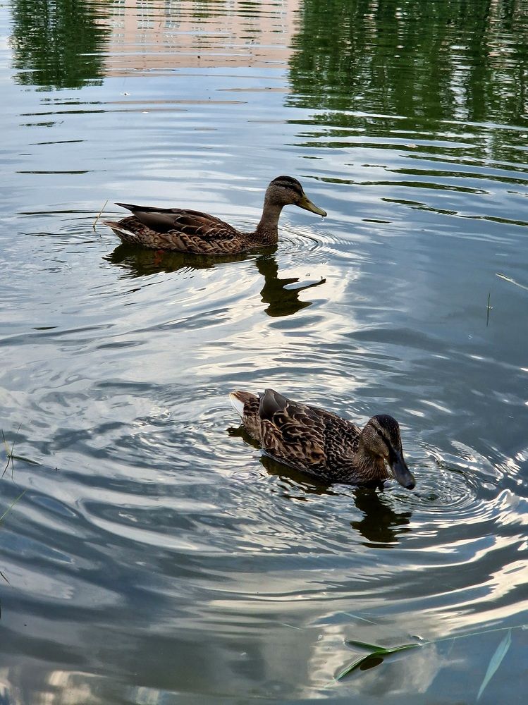 Photograph by Елена Семкина