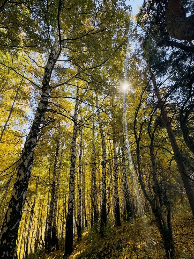 Photograph by Родионова Ксения