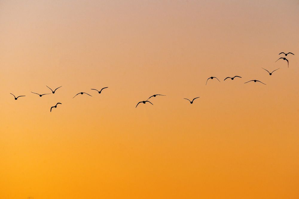 Photograph by Evgeny Vdovin