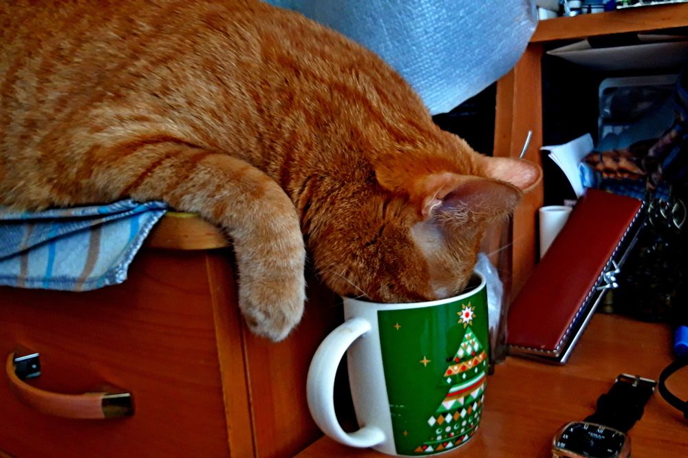 Photograph by Дмитрий Симагин