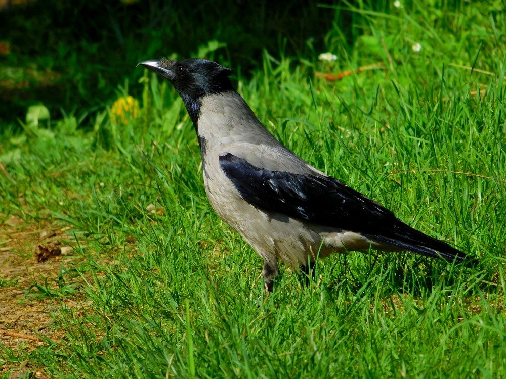 Photograph by Оксана Демидова