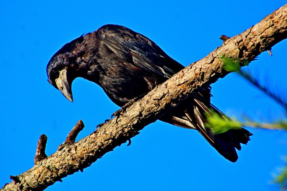 Photograph by Дмитрий Симагин