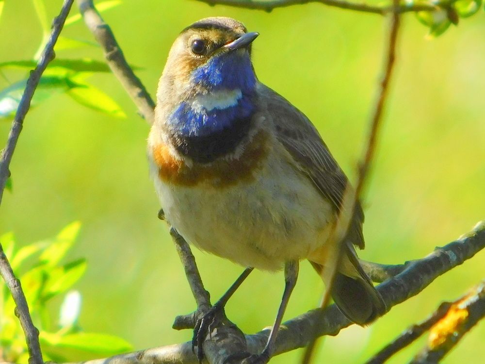 Photograph by Оксана Демидова