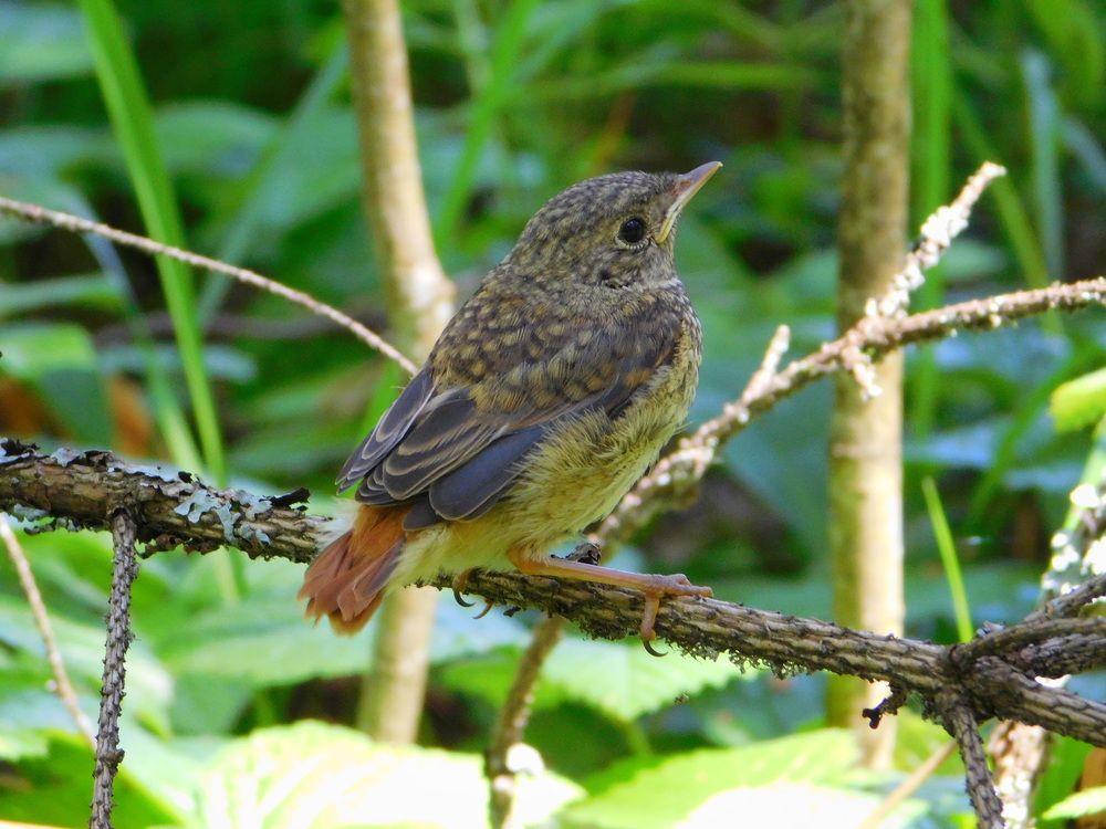 Photograph by Оксана Демидова