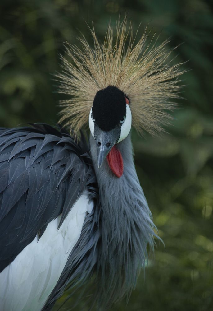 Фотография автора Galina Sa