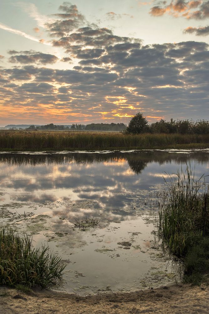 Photograph by Cергей Абакумов