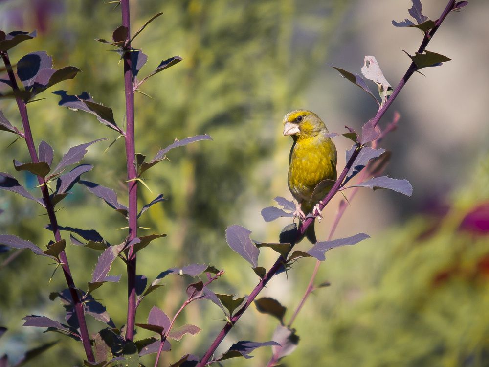Photograph by Мария Кольцова