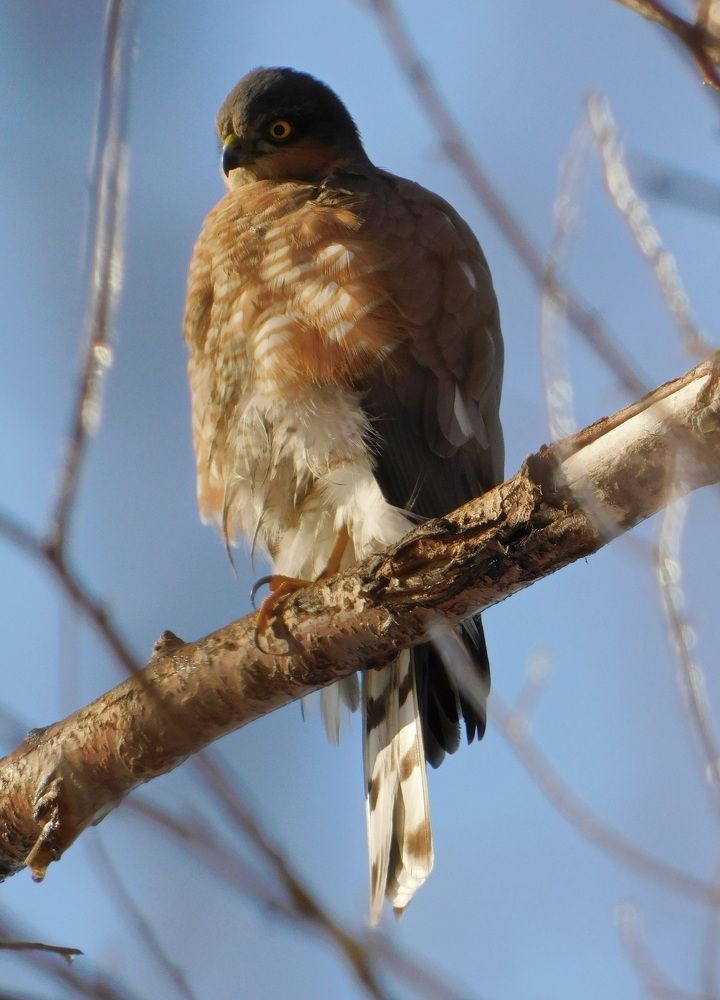 Photograph by Сергей Чеченов