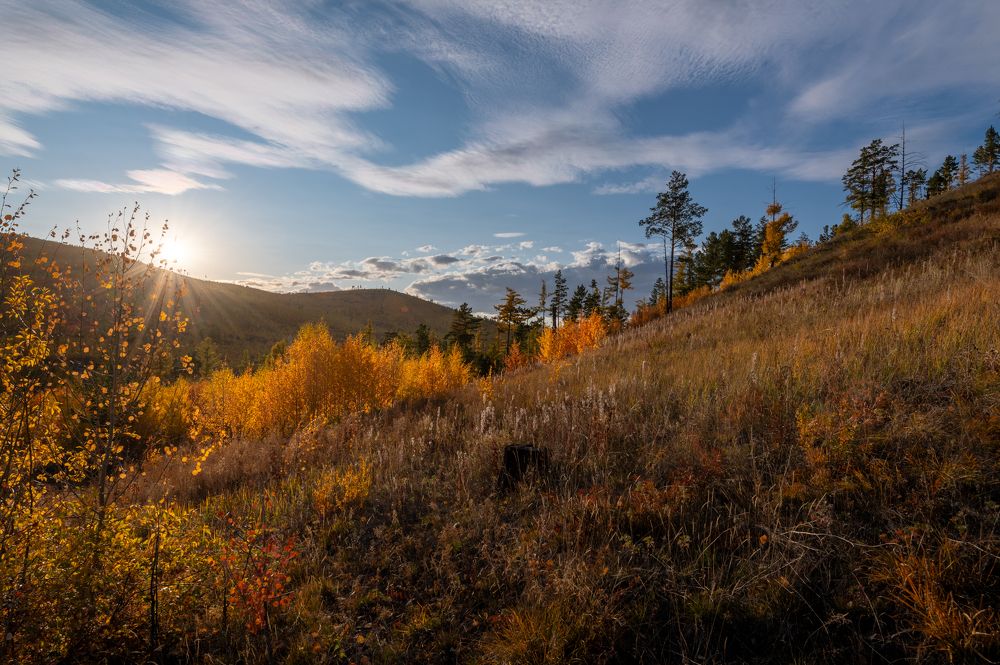 Photograph by Алексей Александрович