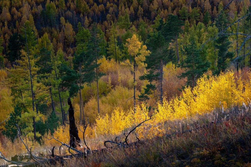 Photograph by Алексей Александрович