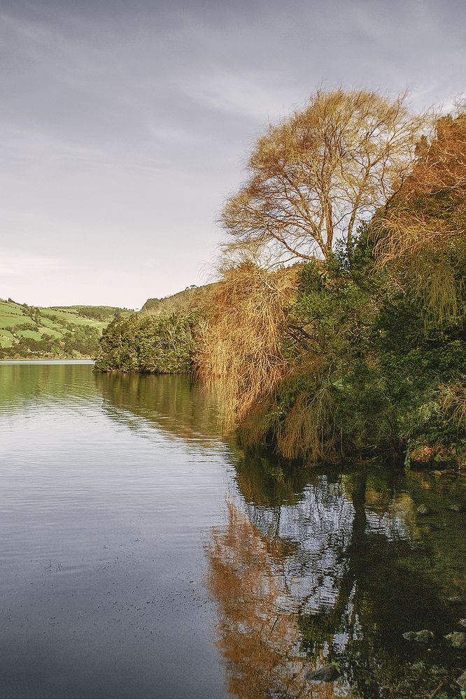 Photograph by Nuno Botelho