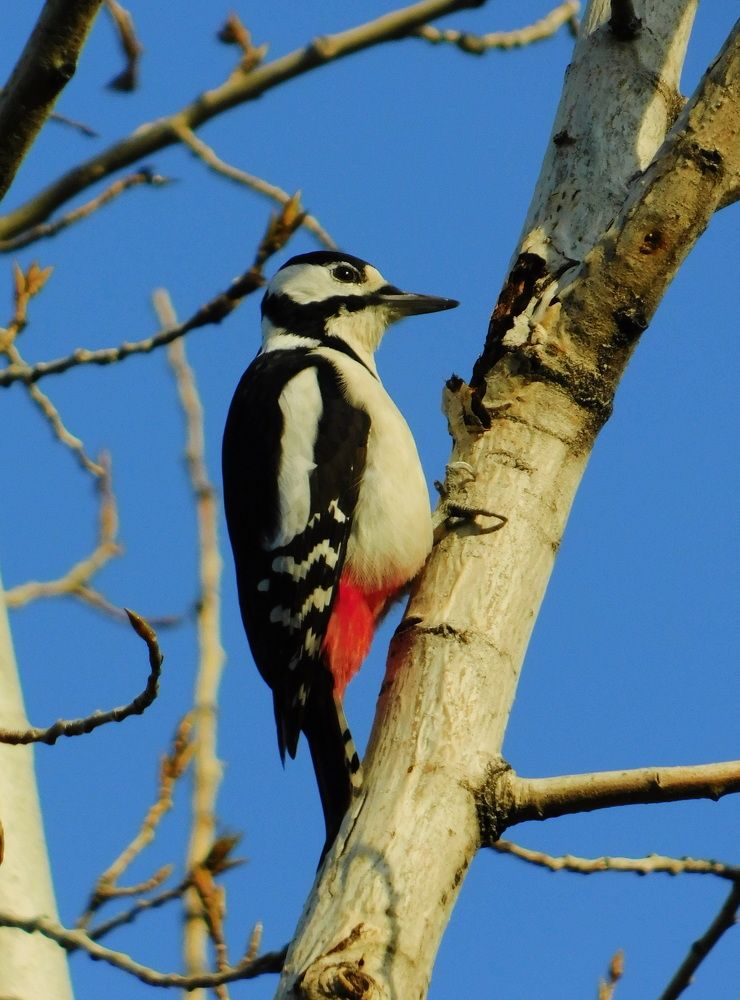 Photograph by Сергей Чеченов