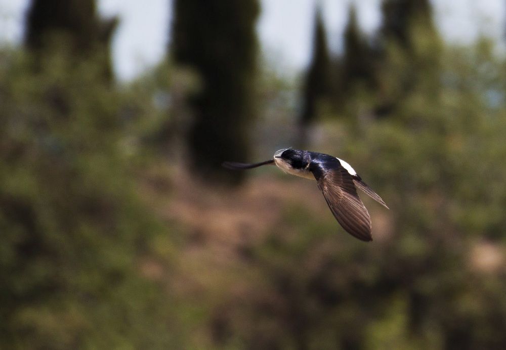 Photograph by Валерия Гуртовая