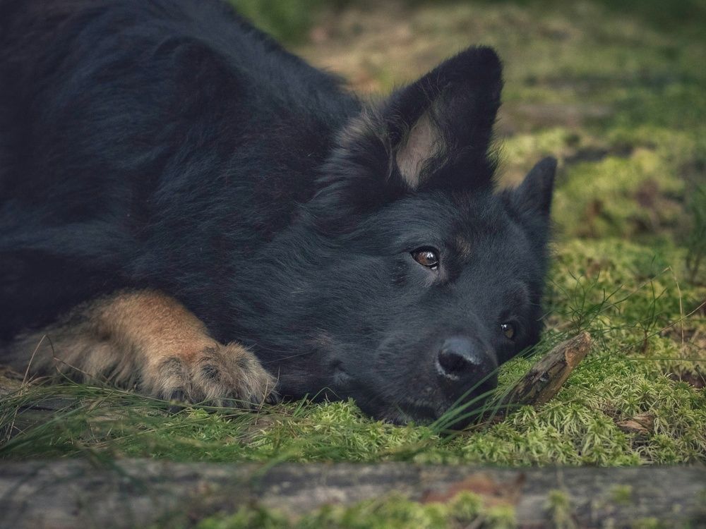 Photograph by Татьяна