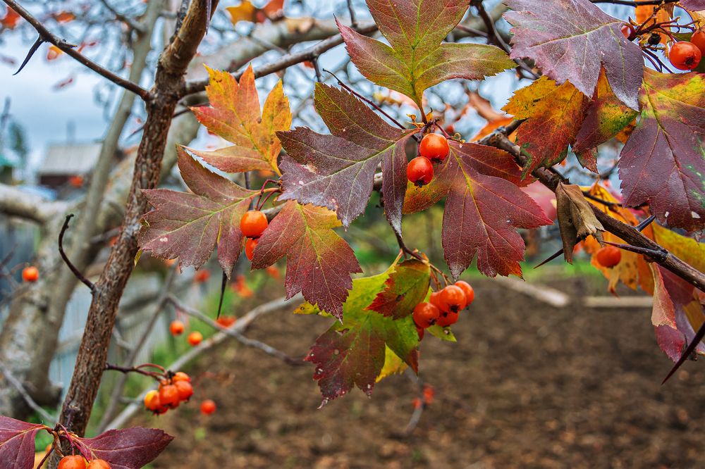 Photograph by Sergey Lebedev