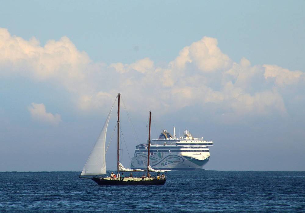 Photograph by Anna Baykova