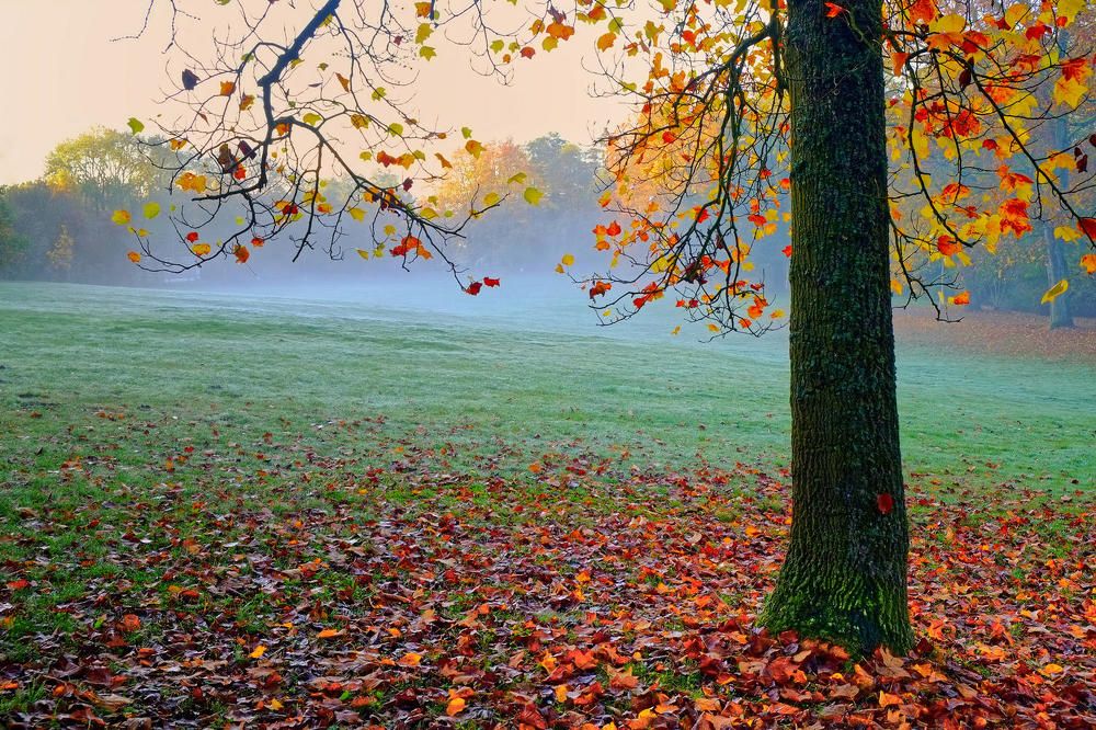 Фотография автора David Solodar