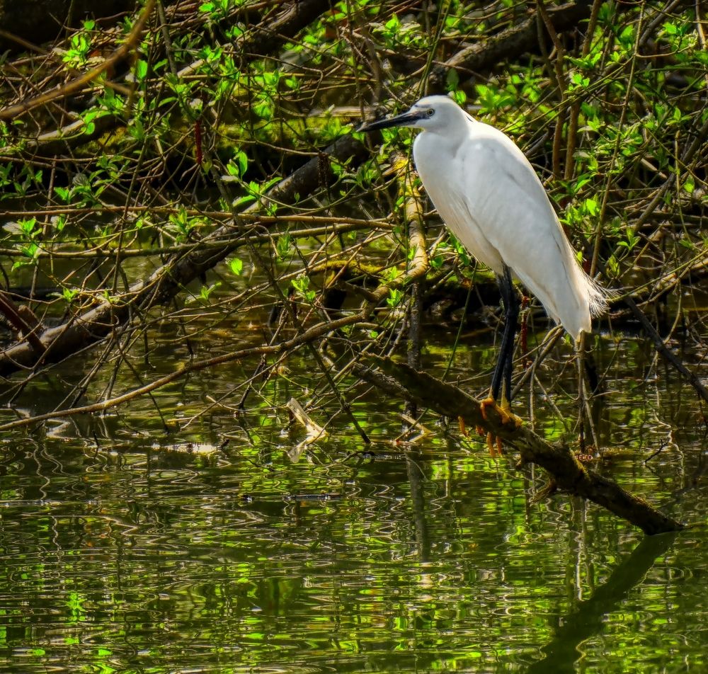 Photograph by Dragos Ivanel