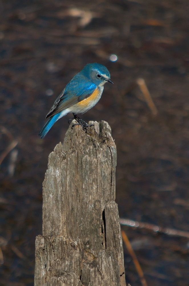 Photograph by Алексей Шехонин