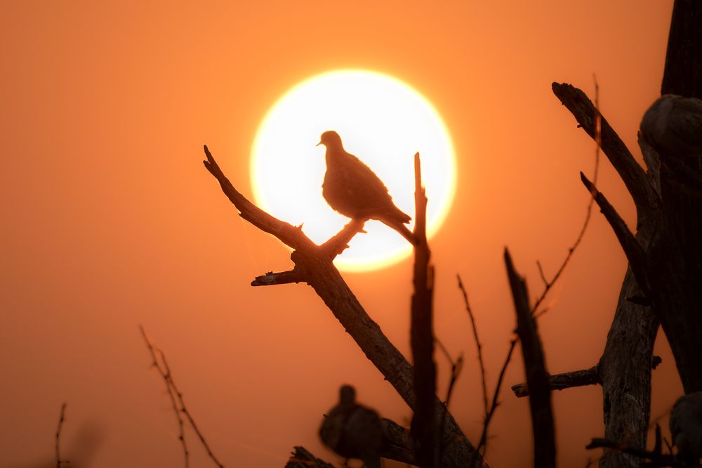 Photograph by Advait Baxi