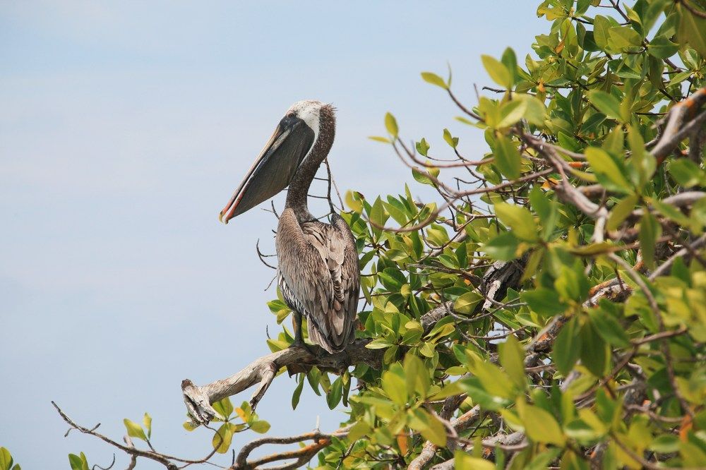 Photograph by Александр Журавлев