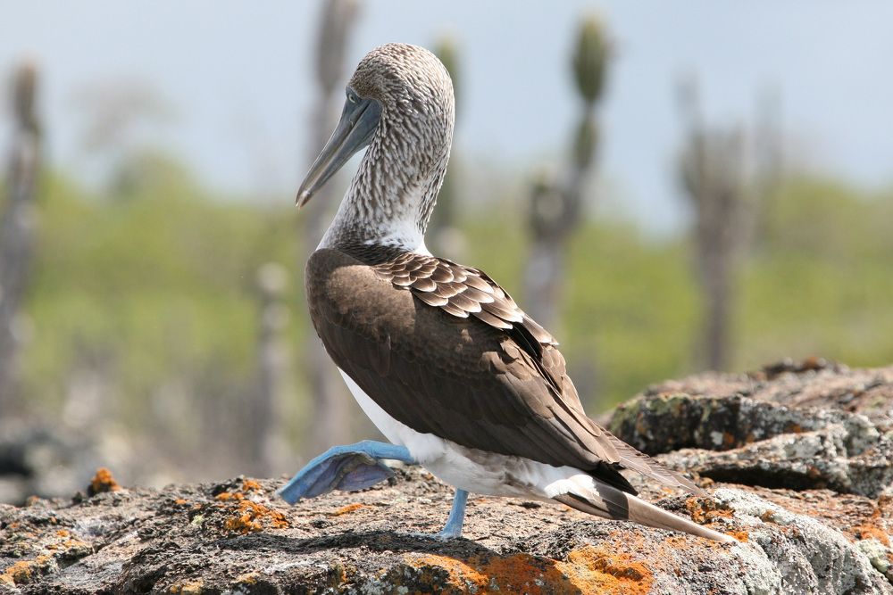 Photograph by Александр Журавлев