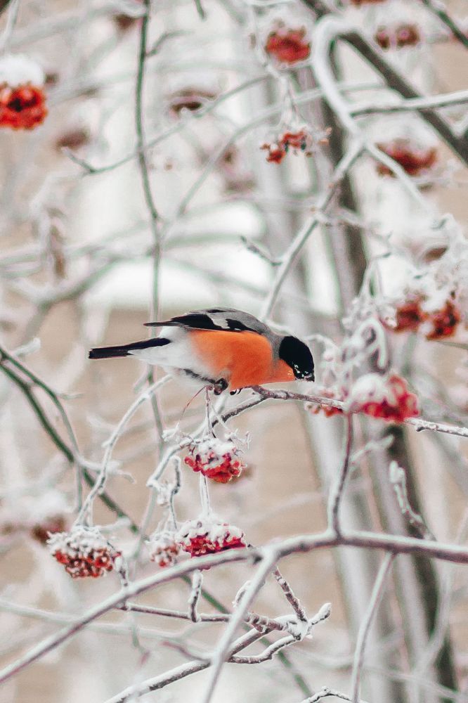 Photograph by Анастасия Макеева