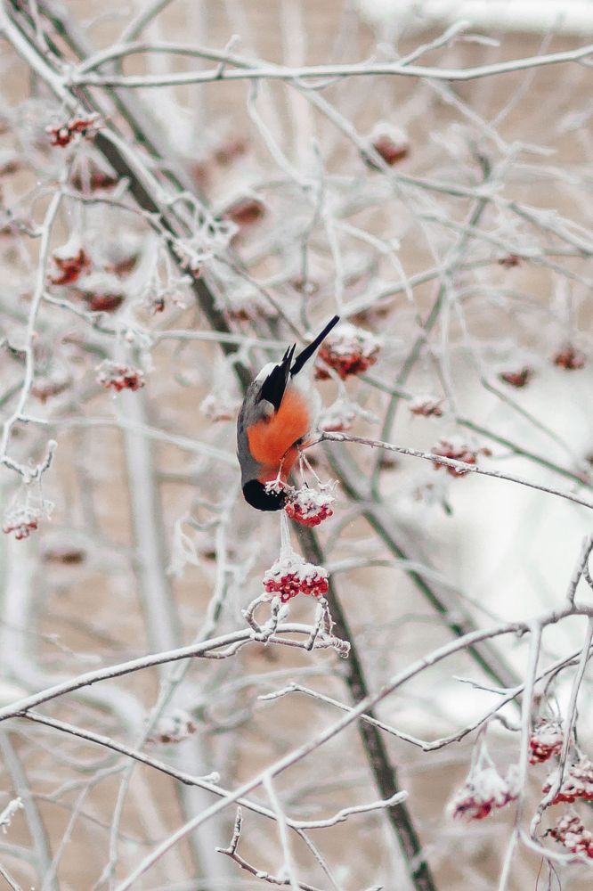 Photograph by Анастасия Макеева