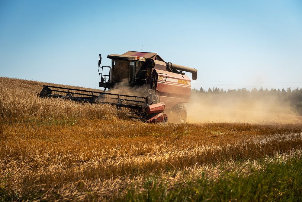 Photograph by Наталья Сергеева