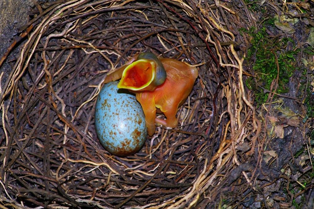 Photograph by Dan Steeves