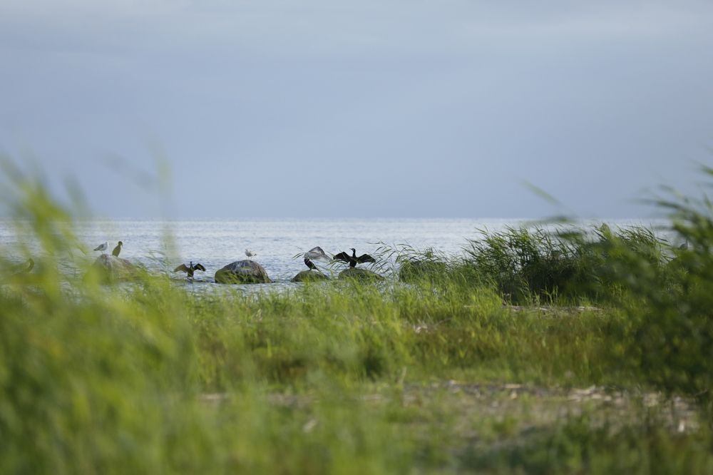 Photograph by Oksana Shchegolkova