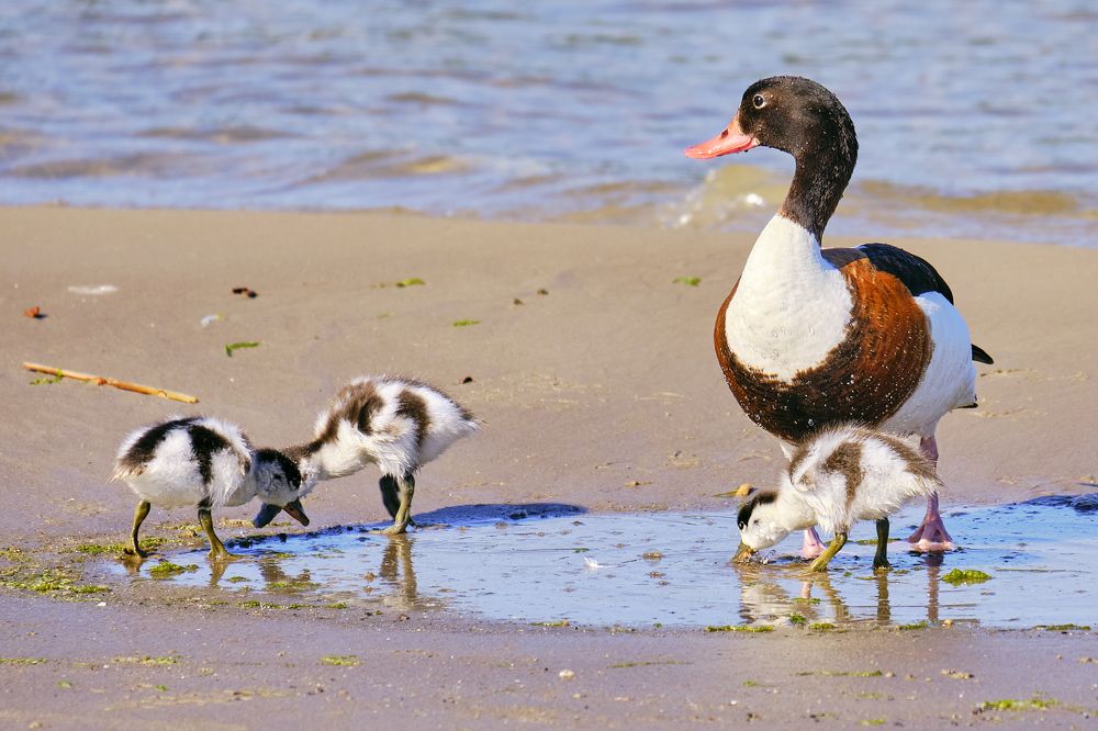 Фотография автора Vilnis Zoldners