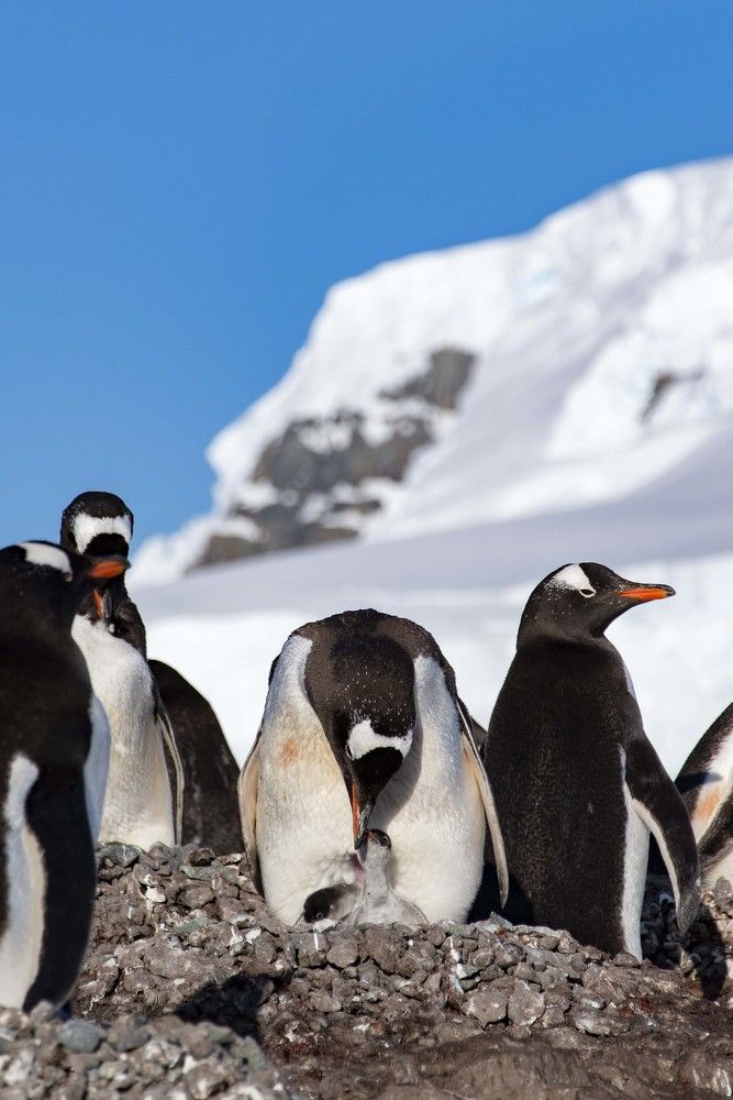 Photograph by Ованес Агарян