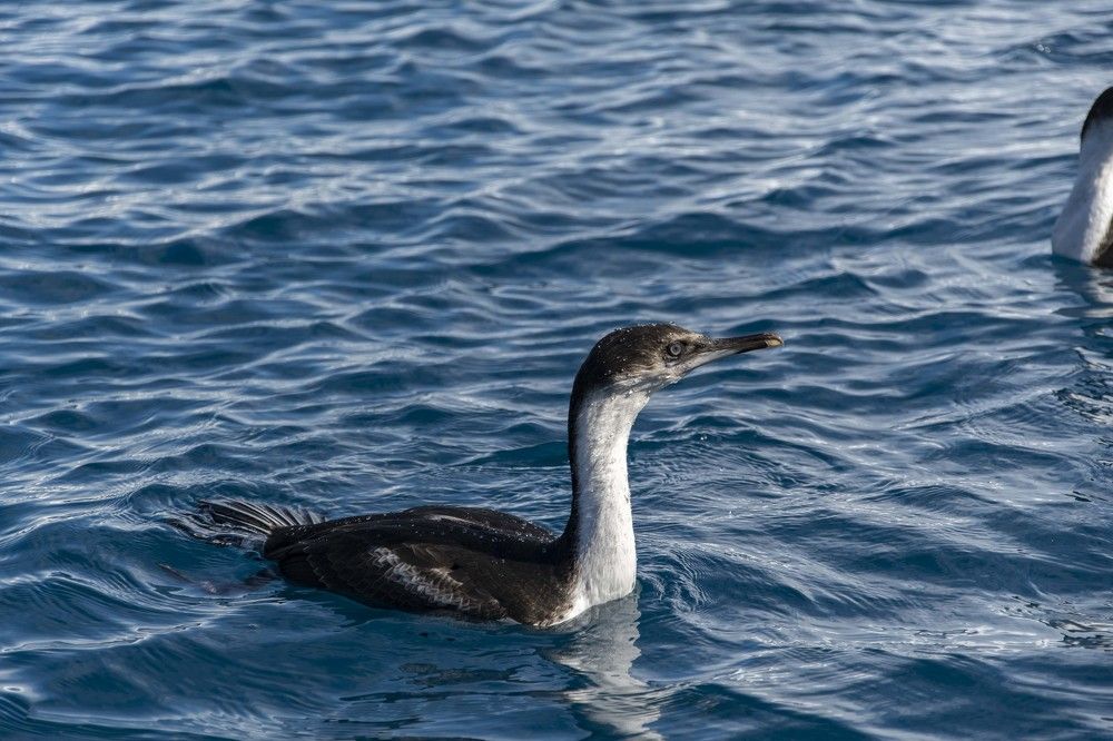 Photograph by Ованес Агарян