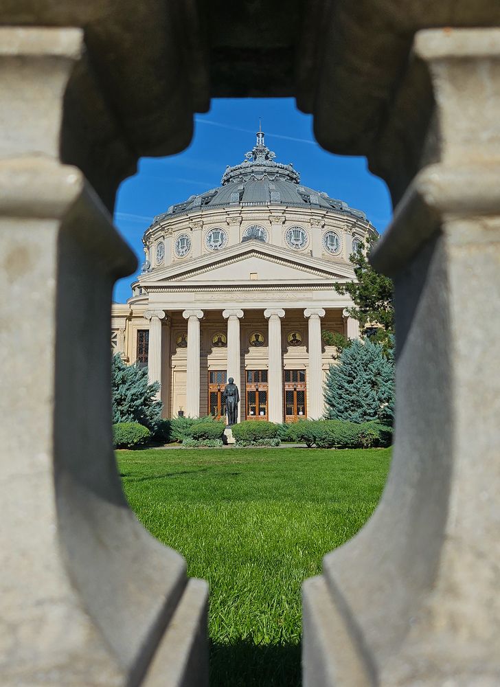 Photograph by Weinstein Isabela