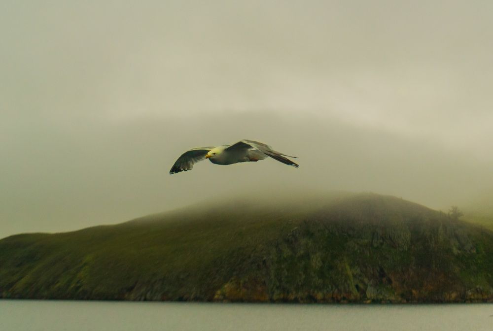 По пути на остров Огой