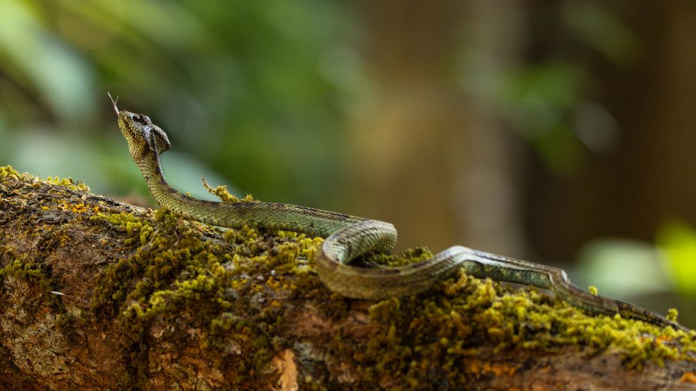 Photograph by Mahesh Kumar V Kolekar