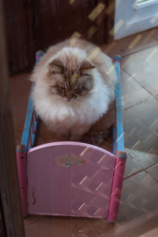 Photograph by Елена Казаренко