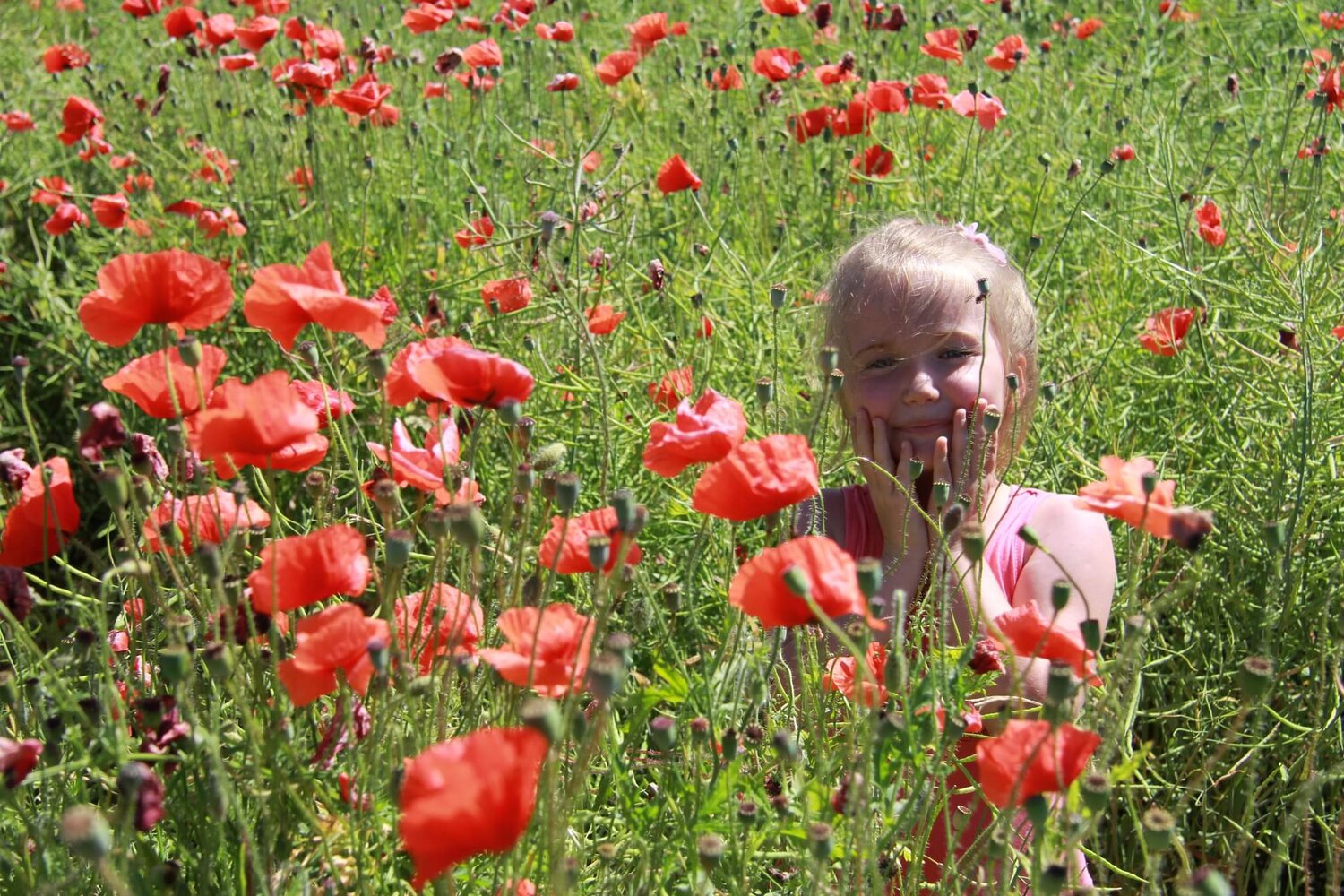 Photo #11080327
