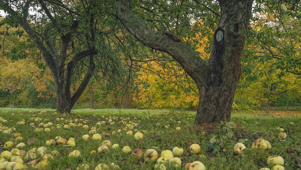 Photograph by Сергей Басов