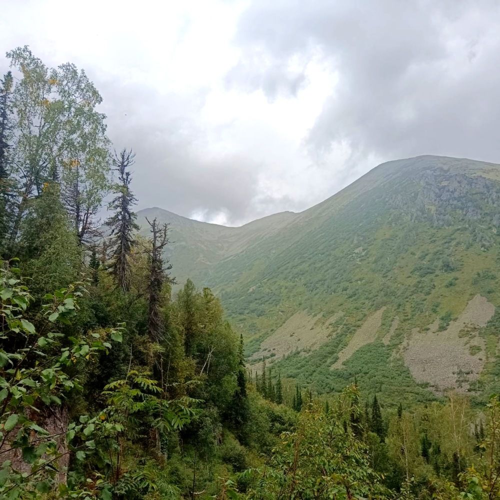 Photograph by Анатолий Майдуров