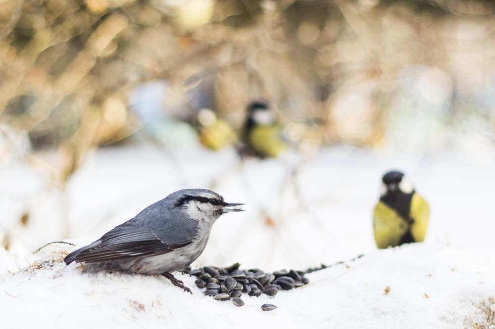 Photograph by Михаил Михайлов