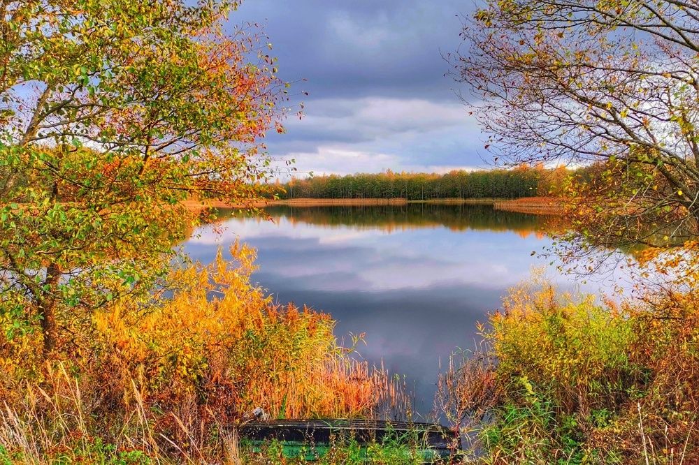 Photograph by Анна Зорька