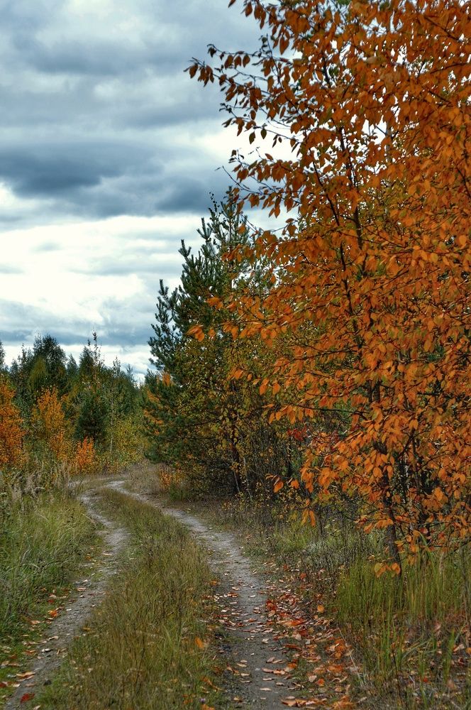 Photograph by Анна Зорька