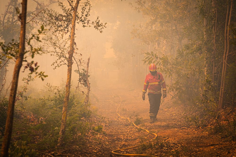 Photograph by João Versos Roldão
