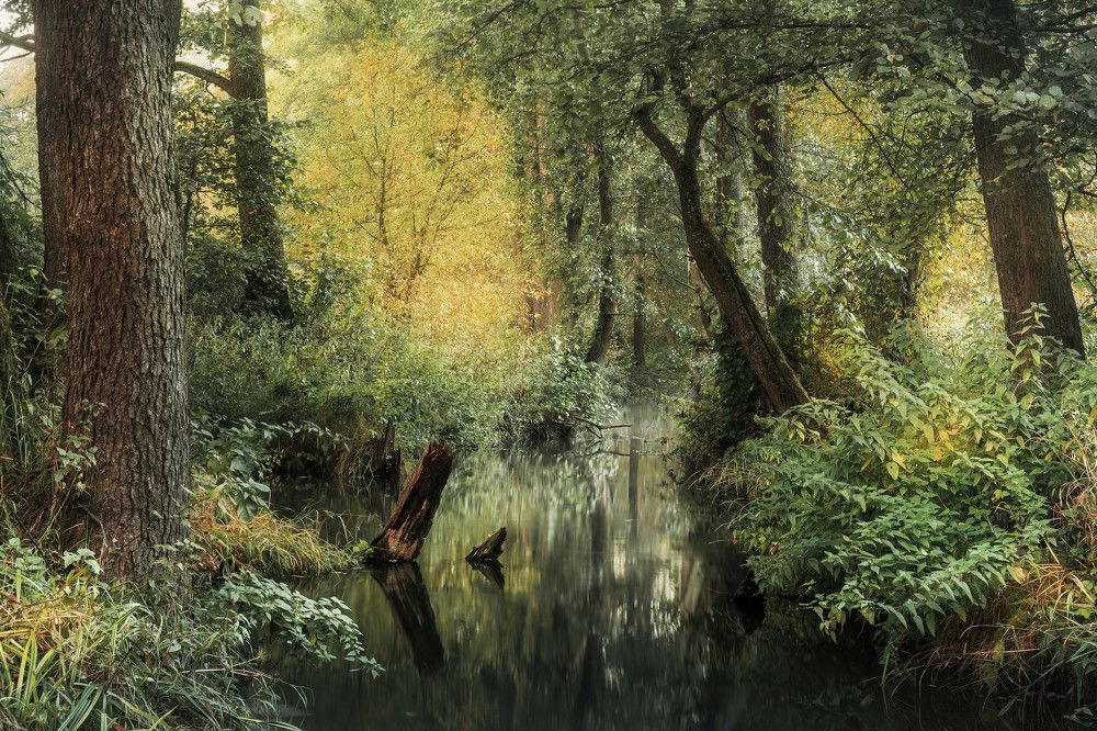 Photograph by Silyavin Nikita